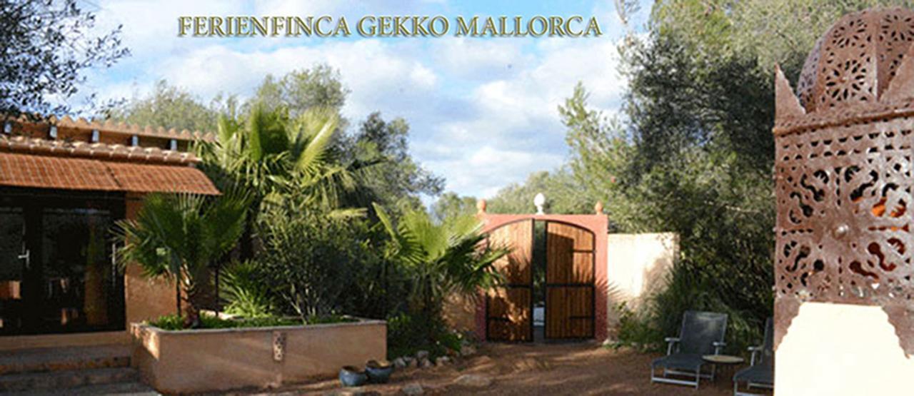 Ferienfinca Gekko Mallorca Hébergement de vacances *