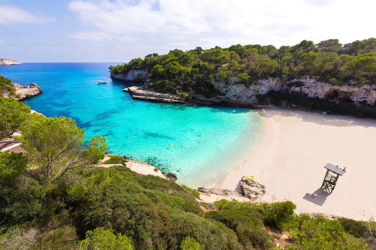 Ferienfinca Gekko Mallorca Hébergement de vacances Santanyí