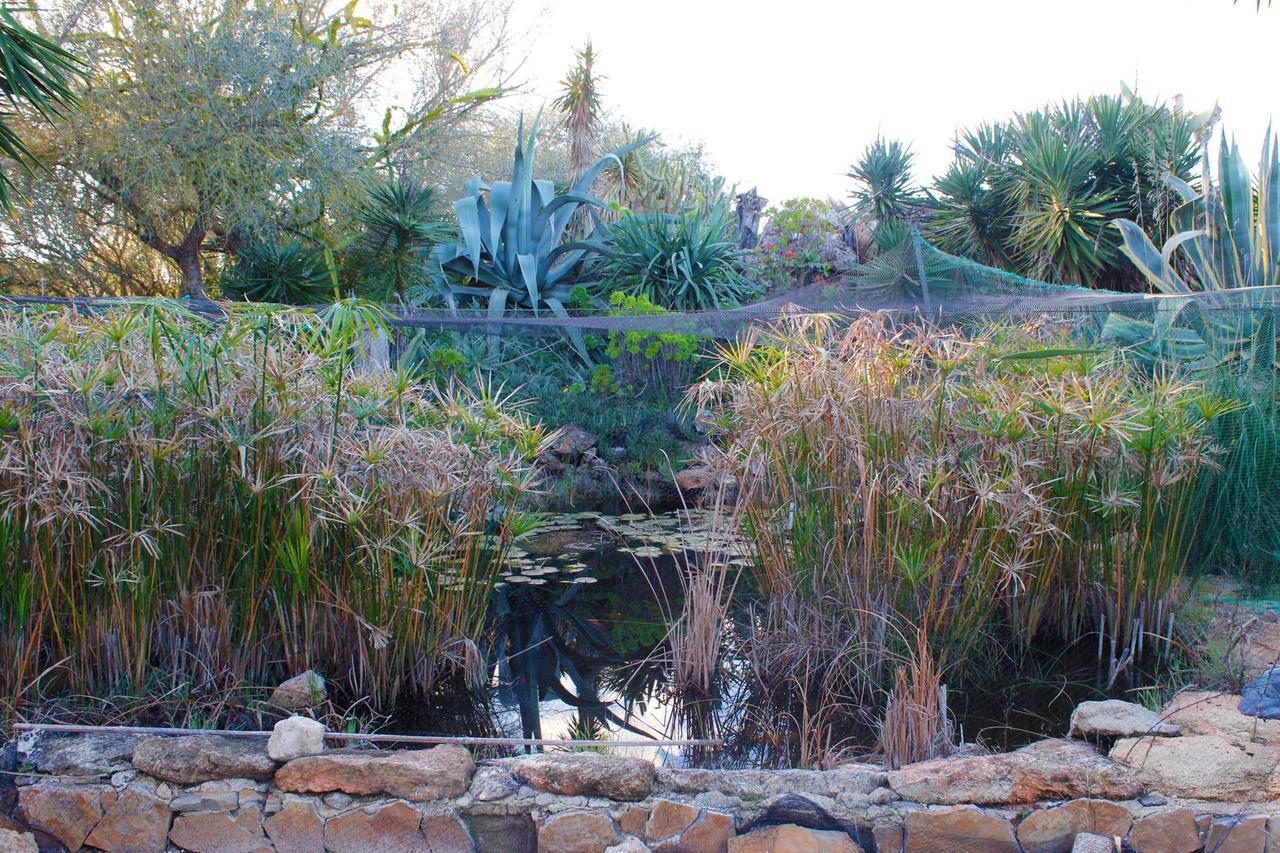Ferienfinca Gekko Mallorca Hébergement de vacances Santanyí