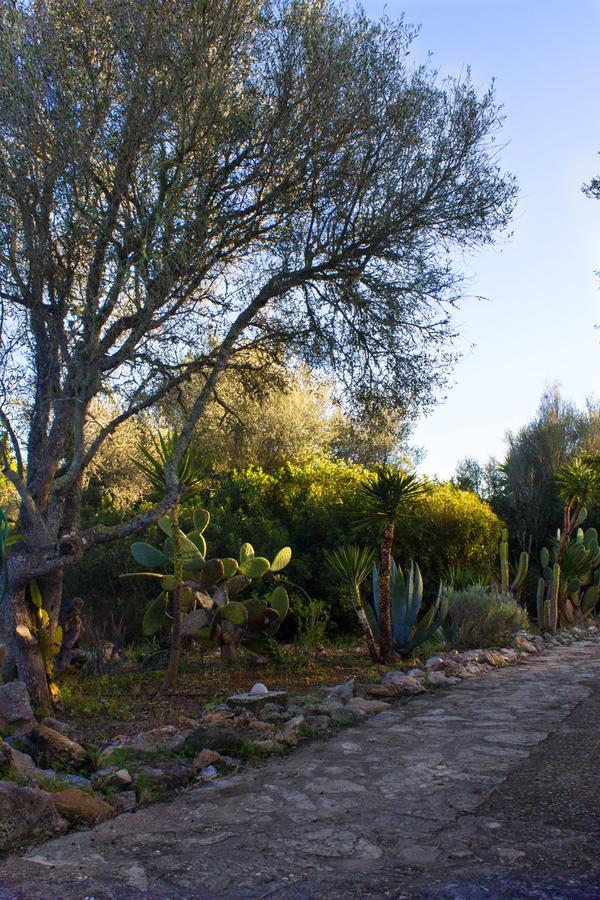 Ferienfinca Gekko Mallorca Hébergement de vacances *