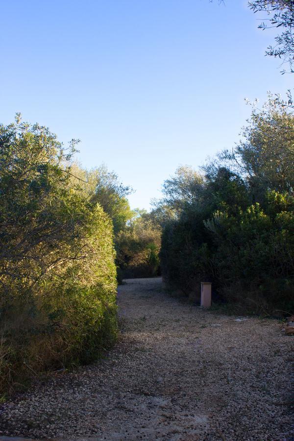 Hébergement de vacances Ferienfinca Gekko Mallorca *